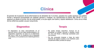 El periodo de incubación de la enfermedad es de alrededor de 3 a 9 días, pasados los cuales aparece una cefalea
frontal y temporal acompañada de malestar general y mialgias. Es característica la fiebre alta (39-40 °C) que
aparece ya desde el primer día de enfermedad, a la que sigue una fuerte y rápida debilitación. Cerca de la mitad
de los enfermos pueden acusar conjuntivitis.
Diagnostico
• El diagnóstico se basa esencialmente en el
decurso clínico y en los datos epidemiológicos. Un
diagnóstico específico se basa en el aislamiento
del virus o bien en la evidencia de la respuesta
inmunitaria y en la presencia de material genómico
viral.
Terapia
• No existe terapia específica. Aunque en la
actualidad no existen vacunas o terapias contra
los virus del Ébola o Marburgo aprobadas para
uso humano.
• Se han propuesto terapias a base de suero
obtenido de sujetos curados o con interferón, pero
actualmente faltan pruebas de apoyo.
8
 