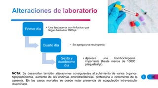 9
Primer día
• Una leucopenia con linfocitos que
llegan hasta los 1000/μl.
Cuarto día • Se agrega una neutropenia.
Sexto y
duodécimo
día
• Aparece una trombocitopenia
importante (hasta menos de 10000
plaquetas/μl).
NOTA: Se desarrollan también alteraciones consiguientes al sufrimiento de varios órganos:
hipoproteinemia, aumento de las enzimas aminotransferasa, proteinuria e incremento de la
azoemia. En los casos mortales se puede notar presencia de coagulación intravascular
diseminada.
 