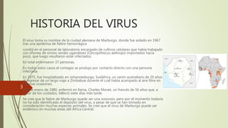 HISTORIA DEL VIRUS
El virus toma su nombre de la ciudad alemana de Marburgo, donde fue aislado en 1967
tras una epidemia de fiebre hemorrágica
cundió en el personal de laboratorio encargado de cultivos celulares que había trabajado
con riñones de simios verdes ugandeses (Cercopithecus aethiops) importados hacía
poco, que luego resultaron estar infectados.
En total enfermaron 37 personas.
En todos estos casos el contagio se produjo por contacto directo con una persona
infectada.
En 1975, fue hospitalizado en Johannesburgo, Sudáfrica, un varón australiano de 20 años
al regresar de un largo viaje a Zimbabue durante el cual había acampado al aire libre en
diversas ocasiones.
El 8 de enero de 1980, enfermó en Kenia, Charles Monet, un francés de 56 años que, a
pesar de los cuidados, falleció siete días más tarde.
Se cree que la fiebre de Marburgo puede ser una zoonosis, pero por el momento todavía
no ha sido identificado el depósito del virus, a pesar de que se han tomado en
consideración muchas especies animales. Se cree que el virus de Marburgo puede ser
endémico en muchas áreas del África Central.
3
 