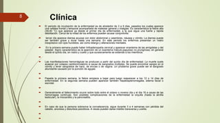  El periodo de incubación de la enfermedad es de alrededor de 3 a 9 días, pasados los cuales aparece
una cefalea frontal y temporal acompañada de malestar general y mialgias. Es característica la fiebre alta
(39-40 °C) que aparece ya desde el primer día de enfermedad, a la que sigue una fuerte y rápida
debilitación. Cerca de la mitad de los enfermos pueden acusar conjuntivitis.
 tercer día aparece diarrea acuosa con dolor abdominal y calambres, náusea y vómito. La diarrea puede
ser también grave y durar hasta una semana. En este periodo los enfermos presentan un rostro
inexpresivo con ojos hundidos. así como letargo y alteraciones mentales.
 En la primera semana puede haber linfoadenopatía cervical y aparecer enantema de las amígdalas y del
paladar. Signo característico es la aparición de un exantema máculo-papuloso no pruriginoso, en general
desde el quinto día, en rostro y cuello y que sucesivamente se extiende a los miembros.

 Las manifestaciones hemorrágicas se producen a partir del quinto día de enfermedad. La muerte suele
acaecer por colapso cardiocirculatorio a causa de sangrados múltiples. Se puede encontrar sangre en el
vómito y tener sangrados de nariz, de encías o de vagina. Un problema grave puede ser el sangrado
abundante causado por la punción de agujas.

 Pasada la primera semana, la fiebre empieza a bajar para luego reaparecer a los 12 o 14 días de
enfermedad. En la segunda semana pueden aparecer también hepatosplenomegalia, edema facial o
escrotal.

 Generalmente el fallecimiento ocurre sobre todo entre el octavo o noveno día y el día 16 a causa de las
hemorragias continuas. Son posibles complicaciones de la enfermedad la orquitis (hasta la atrofia
testicular), la miocarditis y la pancreatitis.

 En caso de que la persona sobreviva la convalecencia, sigue durante 3 a 4 semanas con pérdida del
cabello, anorexia y disturbios psicóticos. A veces pueden darse mielitis transversa y uveítis.


Clínica
8
 