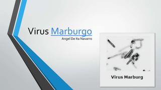 Virus Marburgo
Angel De Ita Navarro
 