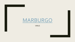 MARBURGO
VIRUS
 