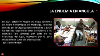 LA EPIDEMIA EN ANGOLA
En 2004, estalló en Angola una nueva epidemia
de fiebre hemorrágica de Marburgo. Personal
enviado por la Organización Mundial de la Salud
fue retirado luego de los actos de violencia a los
quehabía sido sometido por parte de los
habitantes del lugar, frustrados por la poca
eficacia de las curas y la preocupación
por la enfermedad.
3
 