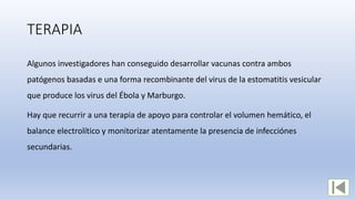 TERAPIA
Algunos investigadores han conseguido desarrollar vacunas contra ambos
patógenos basadas e una forma recombinante del virus de la estomatitis vesicular
que produce los virus del Ébola y Marburgo.
Hay que recurrir a una terapia de apoyo para controlar el volumen hemático, el
balance electrolítico y monitorizar atentamente la presencia de infecciónes
secundarias.
 