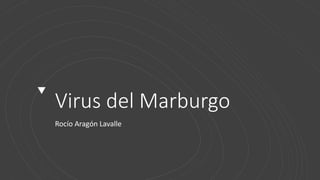 Virus del Marburgo
Rocío Aragón Lavalle
 