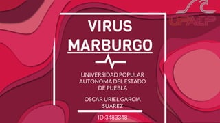 VIRUS
MARBURGO
UNIVERSIDAD POPULAR
AUTONOMA DEL ESTADO
DE PUEBLA
OSCAR URIEL GARCIA
SUAREZ
ID:3483348
 