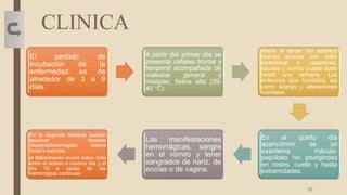 CLINICA
El periodo de
incubación de la
enfermedad es de
alrededor de 3 a 9
días.
A partir del primer día se
presenta cefalea frontal y
temporal acompañada de
malestar general y
mialgias, fiebre alta (39-
40 °C).
Hacia el tercer día aparece
diarrea acuosa con dolor
abdominal y calambres,
náusea y vómito puede durar
hasta una semana. Los
enfermos ojos hundidos, así
como letargo y alteraciones
mentales.
En el quinto día
apariciónón de un
exantema máculo-
papuloso no pruriginoso
en rostro, cuello y hasta
extremidades.
Las manifestaciones
hemorrágicas, sangre
en el vómito y tener
sangrados de nariz, de
encías o de vagina.
En la segunda semana pueden
aparecer también
hepatosplenomegalia, edema
facial o escrotal.
el fallecimiento ocurre sobre todo
entre el octavo o noveno día y el
día 16 a causa de las
hemorragias continuas
10
 