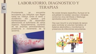 LABORATORIO, DIAGNOSTICO Y
TERAPIAS
Prontamente se encuentra
leucopenia con linfocitos que llegan
hasta los 1000/μl. Entre el sexto y
duodécimo día aparece una
trombocitopenia. Se desarrollan
alteraciones al sufrimiento de varios
órganos: hipoproteinemia, aumento
de las enzimas aminotransferasa,
proteinuria e incremento de la
azoemia.
No existe terapia especifica. Aunque en la
actualidad no existen vacunas o terapias
contra los virus del Ébola o Marburgo
aprobadas para uso humano.
Hay que recurrir a una terapia de apoyo
para controlar el volumen hemático, el
balance electrolítico y monitorizar la
presencia de infecciones secundarias.
11
 