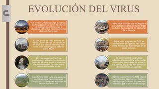 EVOLUCIÓN DEL VIRUS
En 1975 en Johannesburgo, Sudáfrica,
fue hospitalizado un varón de 20 años
al regresar de un largo viaje a
Zimbabue, el hombre murió cuatro días
después de ingresar.
El 8 de enero de 1980, enfermo en
Kenia, Charles Monet, un francés de
56 años que falleció siete dias más
tarde, cree se contagio al visitar la
cueva Kitum.
El 13 de agosto de 1987, fue
hospitalizado, en Kenia, un muchacho
danés de 15 años, murió al undécimo
día de enfermedad. También había
visitado la cueva de Kitum.
Entre 1998 y 2000 hubo una epidemia
en la Republica Democratica del
Congo, con 154 personas enfermas de
las que murieron 128.
Entre 2004-2005 se dio en Angola el
que acabaría siendo el mayor brote
de fiebre hemorragica de Marburgo
de la historia.
Entre junio y agosto de 2007 se
confirmaron en Uganda tres casos
entre mineros de Kamwenge, en el
oeste del país.
En julio de 2008, una turista
holandesa desarrolló la enfermedad
cuatro días despuésés de volver a
los países Bajos tras tres semanas
de vacaciones en Uganda.
El 28 de septiembre de 2014 falleció
en Kampala, Uganda, un médico
radiólogo de 30 años, tras resultar
infectado por el virus de Marburgo
4
 