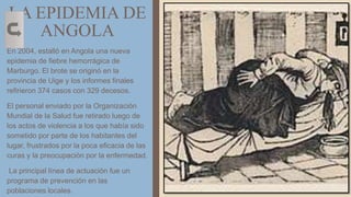 LA EPIDEMIA DE
ANGOLA
En 2004, estalló en Angola una nueva
epidemia de fiebre hemorrágica de
Marburgo. El brote se originó en la
provincia de Uige y los informes finales
refirieron 374 casos con 329 decesos.
El personal enviado por la Organización
Mundial de la Salud fue retirado luego de
los actos de violencia a los que había sido
sometido por parte de los habitantes del
lugar, frustrados por la poca eficacia de las
curas y la preocupación por la enfermedad.
La principal línea de actuación fue un
programa de prevención en las
poblaciones locales. 5
 
