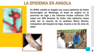 En 2004, estalló en Angola una nueva epidemia de fiebre
hemorrágica de Marburgo. El brote se originó en la
provincia de Uige y los informes finales refirieron 374
casos con 329 decesos. En Italia, esta epidemia causó
ruido por la muerte de la pediatra María Bonino,
trabajadora del hospital de Uige, muerta a los 51 años de
edad.
5
 
