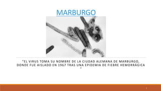 MARBURGO
“EL VIRUS TOMA SU NOMBRE DE LA CIUDAD ALEMANA DE MARBURGO,
DONDE FUE AISLADO EN 1967 TRAS UNA EPIDEMIA DE FIEBRE HEMORRÁGICA
“
1
 