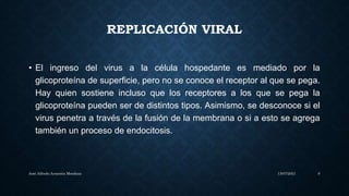 REPLICACIÓN VIRAL
• El ingreso del virus a la célula hospedante es mediado por la
glicoproteína de superficie, pero no se conoce el receptor al que se pega.
Hay quien sostiene incluso que los receptores a los que se pega la
glicoproteína pueden ser de distintos tipos. Asimismo, se desconoce si el
virus penetra a través de la fusión de la membrana o si a esto se agrega
también un proceso de endocitosis.
13/07/2021
José Alfredo Armenta Mendoza 9
 