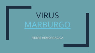 VIRUS
MARBURGO
FIEBRE HEMORRAGICA
1
 