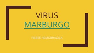 VIRUS
MARBURGO
FIEBRE HEMORRAGICA
1
 