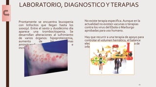 LABORATORIO, DIAGNOSTICOYTERAPIAS
Prontamente se encuentra leucopenia
con linfocitos que llegan hasta los
1000/μl. Entre el sexto y duodécimo día
aparece una trombocitopenia. Se
desarrollan alteraciones al sufrimiento
de varios órganos: hipoproteinemia,
aumento de las enzimas
aminotransferasa, proteinuria e
incremento de la azoemia.
No existe terapia especifica.Aunque en la
actualidad no existen vacunas o terapias
contra los virus del Ébola o Marburgo
aprobadas para uso humano.
Hay que recurrir a una terapia de apoyo para
controlar el volumen hemático, el balance
electrolítico y monitorizar la presencia de
infecciones secundarias.
11
 