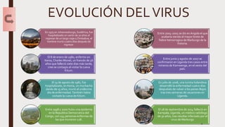 EVOLUCIÓN DELVIRUS
En 1975 en Johannesburgo, Sudáfrica, fue
hospitalizado un varón de 20 años al
regresar de un largo viaje a Zimbabue, el
hombre murió cuatro días después de
ingresar.
El 8 de enero de 1980, enfermo en
Kenia, Charles Monet, un francés de 56
años que falleció siete dias más tarde,
cree se contagio al visitar la cueva
Kitum.
El 13 de agosto de 1987, fue
hospitalizado, en Kenia, un muchacho
danés de 15 años, murió al undécimo
día de enfermedad.También había
visitado la cueva de Kitum.
Entre 1998 y 2000 hubo una epidemia
en la Republica Democratica del
Congo, con 154 personas enfermas de
las que murieron 128.
Entre 2004-2005 se dio en Angola el que
acabaría siendo el mayor brote de
fiebre hemorragica de Marburgo de la
historia.
Entre junio y agosto de 2007 se
confirmaron en Uganda tres casos entre
mineros de Kamwenge, en el oeste del
país.
En julio de 2008, una turista holandesa
desarrolló la enfermedad cuatro días
despuésés de volver a los países Bajos
tras tres semanas de vacaciones en
Uganda.
El 28 de septiembre de 2014 falleció en
Kampala, Uganda, un médico radiólogo
de 30 años, tras resultar infectado por el
virus de Marburgo
4
 