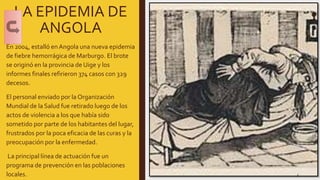 LA EPIDEMIA DE
ANGOLA
En 2004, estalló enAngola una nueva epidemia
de fiebre hemorrágica de Marburgo. El brote
se originó en la provincia de Uige y los
informes finales refirieron 374 casos con 329
decesos.
El personal enviado por la Organización
Mundial de la Salud fue retirado luego de los
actos de violencia a los que había sido
sometido por parte de los habitantes del lugar,
frustrados por la poca eficacia de las curas y la
preocupación por la enfermedad.
La principal línea de actuación fue un
programa de prevención en las poblaciones
locales. 5
 