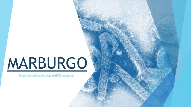Marburgvirus