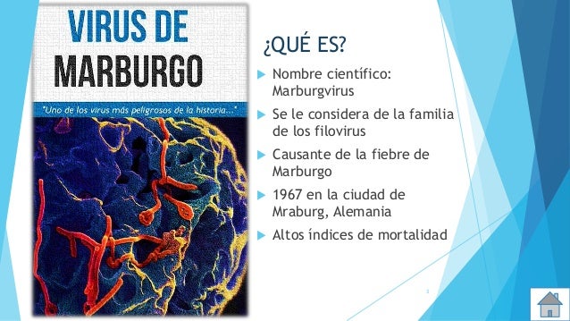 Marburgvirus