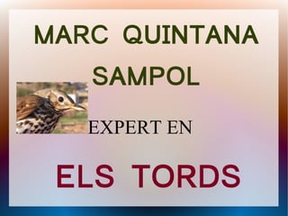 MARC QUINTANA
   SAMPOL
   EXPERT EN

 ELS TORDS
 