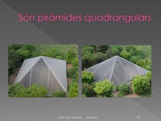 20/05/2013MARC SOLÉ VILLEGAS 14
 