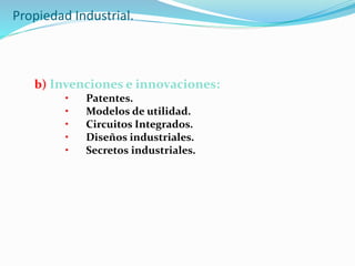 Propiedad Industrial.
b) Invenciones e innovaciones:
• Patentes.
• Modelos de utilidad.
• Circuitos Integrados.
• Diseños industriales.
• Secretos industriales.
 
