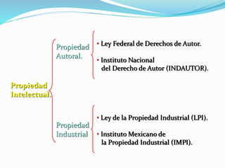 Propiedad
Autoral.
Propiedad
Industrial
Propiedad
Intelectual.
• Ley Federal de Derechos de Autor.
• Instituto Nacional
del Derecho de Autor (INDAUTOR).
• Ley de la Propiedad Industrial (LPI).
• Instituto Mexicano de
la Propiedad Industrial (IMPI).
 