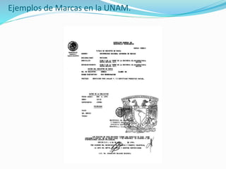 Ejemplos de Marcas en la UNAM.
 
