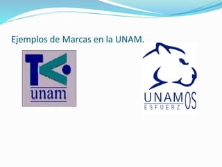 Ejemplos de Marcas en la UNAM.
 