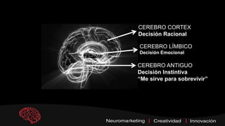 CEREBRO CORTEX
Decisión Racional
CEREBRO LÍMBICO
Decisión Emocional
CEREBRO ANTIGUO
Decisión Instintiva
“Me sirve para sobrevivir”
 