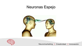 Neuronas Espejo
 