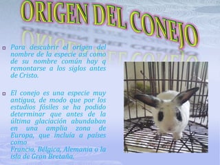 Aplicar un marcador de origen natural para observar la pigmentación que adquieren las heces.