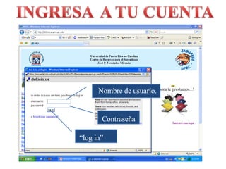 Nombre de usuario. Contraseña “ log in” 