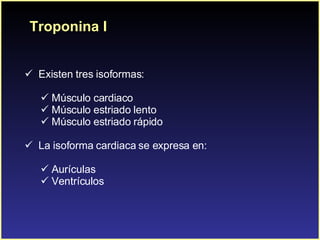 Troponina I Existen tres isoformas: Músculo cardiaco Músculo estriado lento Músculo estriado rápido La isoforma cardiaca se expresa en: Aurículas Ventrículos  