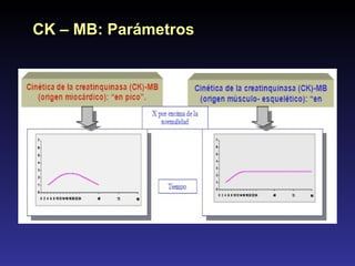 CK – MB: Parámetros 