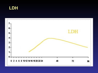 LDH 