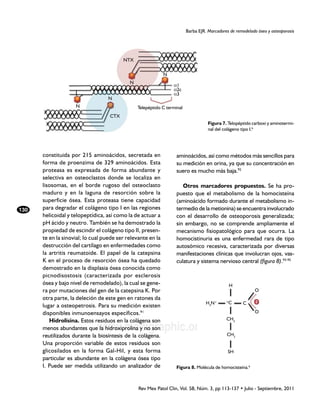 Barba EJR. Marcadores de remodelado óseo y osteoporosis




                                         NTX


                                                             N
                                            N
                                                                 a1
                                                                 a2c
                                                                 a3
                                  N
                    N                           Telepéptido C terminal
                                   CTX
                                                                                    Figura 7. Telopéptido carboxi y aminotermi-
                                                                                    nal del colágeno tipo I.6




      constituida por 215 aminoácidos, secretada en                aminoácidos, así como métodos más sencillos para
      forma de proenzima de 329 aminoácidos. Esta                  su medición en orina, ya que su concentración en
      proteasa es expresada de forma abundante y                   suero es mucho más baja.92
      selectiva en osteoclastos donde se localiza en
      lisosomas, en el borde rugoso del osteoclasto                   Otros marcadores propuestos. Se ha pro-
      maduro y en la laguna de resorción sobre la                  puesto que el metabolismo de la homocisteína
      superficie ósea. Esta proteasa tiene capacidad               (aminoácido formado durante el metabolismo in-
130   para degradar el colágeno tipo I en las regiones             termedio de la metionina) se encuentra involucrado
      helicoidal y telopeptídica, así como la de actuar a          con el desarrollo de osteoporosis generalizada;
      pH ácido y neutro. También se ha demostrado la               sin embargo, no se comprende ampliamente el
      propiedad de escindir el colágeno tipo II, presen-           mecanismo fisiopatológico para que ocurra. La
      te en la sinovial; lo cual puede ser relevante en la         homocistinuria es una enfermedad rara de tipo
      destrucción del cartílago en enfermedades como               autosómico recesiva, caracterizada por diversas
      la artritis reumatoide. El papel de la catepsina             manifestaciones clínicas que involucran ojos, vas-
      K en el proceso de resorción ósea ha quedado                 culatura y sistema nervioso central (figura 8).93-95
      demostrado en la displasia ósea conocida como
      picnodisostosis (caracterizada por esclerosis
      ósea y bajo nivel de remodelado), la cual se gene-                                         H
      ra por mutaciones del gen de la catepsina K. Por                                                      O
      otra parte, la deleción de este gen en ratones da
                                                                                   H3N+      a
                                                                                              C       C
      lugar a osteopetrosis. Para su medición existen
      disponibles inmunoensayos específicos.91                                                              O
         Hidrolisina. Estos residuos en la colágena son                                      CH2

                              www.medigraphic.org.mx
      menos abundantes que la hidroxiprolina y no son
                                                                                             CH2
      reutilizados durante la biosíntesis de la colágena.
      Una proporción variable de estos residuos son
      glicosilados en la forma Gal-Hil, y esta forma                                          SH
      particular es abundante en la colágena ósea tipo
      I. Puede ser medida utilizando un analizador de              Figura 8. Molécula de homocisteína.6



                                                Rev Mex Patol Clin, Vol. 58, Núm. 3, pp 113-137 • Julio - Septiembre, 2011
 