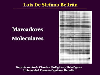 Marcadores
Moleculares
Luis De Stefano Beltrán
Departamento de Ciencias Biológicas y Fisiológicas
Universidad Peruana Cayetano Heredia
 