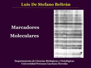 Marcadores
Moleculares
Luis De Stefano BeltránLuis De Stefano Beltrán
Departamento de Ciencias Biológicas y Fisiológicas
Universidad Peruana Cayetano Heredia
 