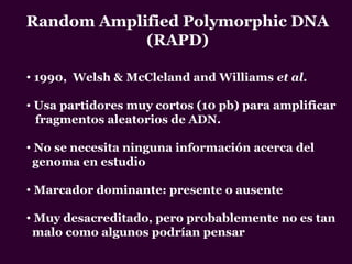Random Amplified Polymorphic DNA
(RAPD)
• 1990, Welsh & McCleland and Williams et al.
• Usa partidores muy cortos (10 pb) para amplificar
fragmentos aleatorios de ADN.
• No se necesita ninguna información acerca del
genoma en estudio
• Marcador dominante: presente o ausente
• Muy desacreditado, pero probablemente no es tan
malo como algunos podrían pensar
 