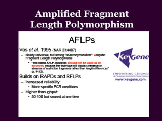 Amplified Fragment
Length Polymorphism
 