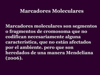 Marcadores moleculares son segmentos
o fragmentos de cromosoma que no
codifican necesariamente alguna
característica, que no están afectados
por el ambiente. pero que son
heredados de una manera Mendeliana
(2006).
Marcadores Moleculares
 
