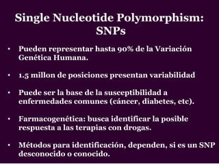 Single Nucleotide Polymorphism:
SNPs
• Pueden representar hasta 90% de la Variación
Genética Humana.
• 1.5 millon de posiciones presentan variabilidad
• Puede ser la base de la susceptibilidad a
enfermedades comunes (cáncer, diabetes, etc).
• Farmacogenética: busca identificar la posible
respuesta a las terapias con drogas.
• Métodos para identificación, dependen, si es un SNP
desconocido o conocido.
 