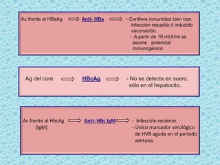 Ac frente al HBsAg Anti- HBs - Confiere inmunidad bien tras
infección resuelta ó inducido
vacunación.
- A partir de 10 mUI/ml se
asume potencial
inmunogénico
Ag del core HBcAg - No se detecta en suero,
sólo en el hepatocito.
Ac frente al HbcAg Anti- HBc IgM - Infección reciente.
(IgM) - Único marcador serológico
de HVB aguda en el período
ventana.
 