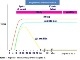 Progresión a infección crónica
 