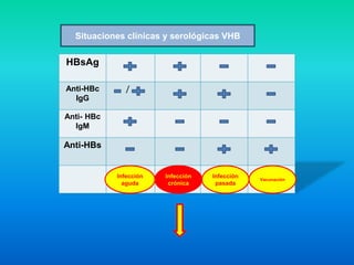 HBsAg
Anti-HBc
IgG
/
Anti- HBc
IgM
Anti-HBs
Infección
aguda
Infección
crónica
Infección
pasada
Vacunación
Situaciones clínicas y serológicas VHB
 