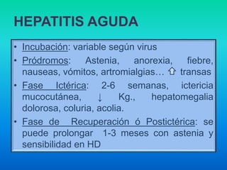HEPATITIS AGUDA
• Incubación: variable según virus
• Pródromos: Astenia, anorexia, fiebre,
nauseas, vómitos, artromialgias… transas
• Fase Ictérica: 2-6 semanas, ictericia
mucocutánea, ↓ Kg., hepatomegalia
dolorosa, coluria, acolia.
• Fase de Recuperación ó Postictérica: se
puede prolongar 1-3 meses con astenia y
sensibilidad en HD
 