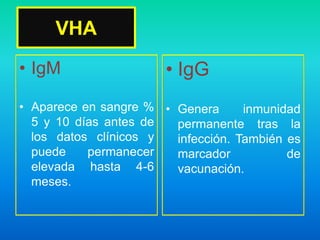 VHA
• IgM
• Aparece en sangre %
5 y 10 días antes de
los datos clínicos y
puede permanecer
elevada hasta 4-6
meses.
• IgG
• Genera inmunidad
permanente tras la
infección. También es
marcador de
vacunación.
 