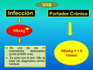 Infección
 Es uno de los 1º
marcadores detectables
(junto al ADN viral).
 Es junto con el anti- HBc la
base del diagnóstico clínico
habitual.
Portador Crónico
HBsAg
HBsAg + > 6
meses
VHB
 